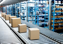 Gravity vs Powered Conveyors: Choosing Smart for Your Warehouse